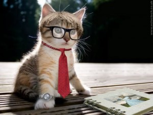 intellectual_cat