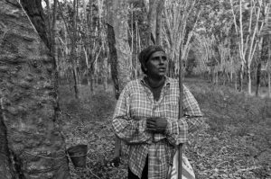 female rubber tapper